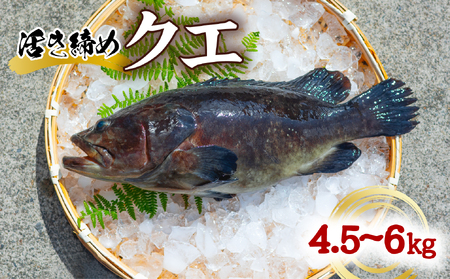 NG  4.5`6kg {NG  A N NG   Yn ① {B Y G