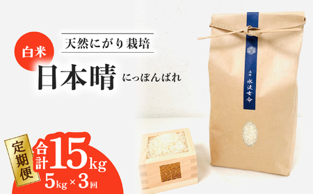 [定期便] 日本晴 白米 5kg×3回 3ヶ月連続 天然にがり栽培 にっぽんばれ 希少 品種 お寿司 ピラフ チャーハン