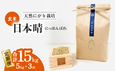 [定期便] 日本晴 玄米 5kg×3回 3ヶ月連続 天然にがり栽培 にっぽんばれ 希少 品種 お寿司 ピラフ チャーハン