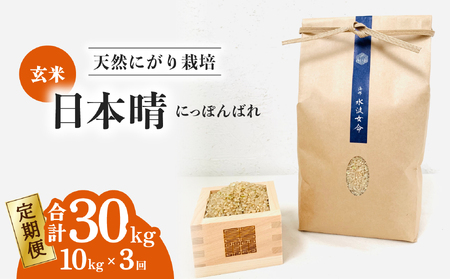 yցz {  10kg×3 3A VRɂ͔| ɂۂ΂  i i st `[n