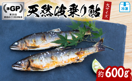 天然波乗り鮎 約600g 大サイズ 20〜25cm 4〜8尾 鮎 天然 約600g あゆ アユ 天然鮎 清流 海部川 川魚 冷凍