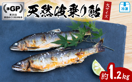 VRg舼 1.2kg TCY 20`25cm 8`16  VR 1.2kg  A VR  C 싛 Ⓚ
