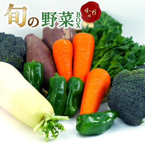 旬のお野菜詰め合わせ 季節のお野菜 お野菜いろいろ セット