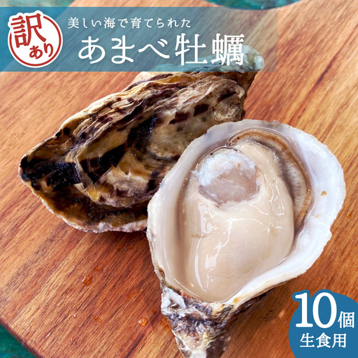 [訳あり]あまべ牡蠣 10個 牡蠣 シングルシード 生食用 殻付き かき カキ オイスター 生ガキ 生牡蠣 生がき 生かき ギフト 貝 旨味