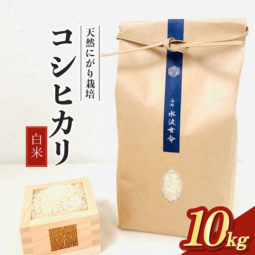 【先行予約】コシヒカリ白米 10kg 令和8年産 天然にがり栽培 こしひかり【2026年10月以降順次発送】