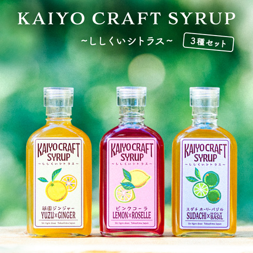 KAIYO CRAFT SYRUP 〜ししくいシトラス〜 3種セット ピンクコーラ 祇園ジンジャー すだちホーリーバジル 手作り 有機シュガー 添加物不使用