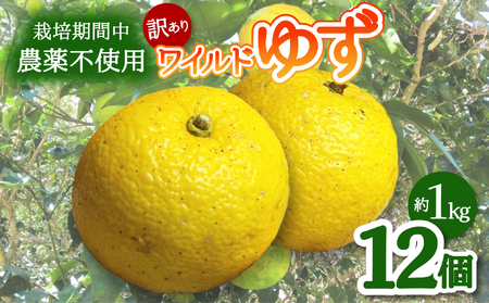 [期間限定]ワイルドゆず12個(約1kg)