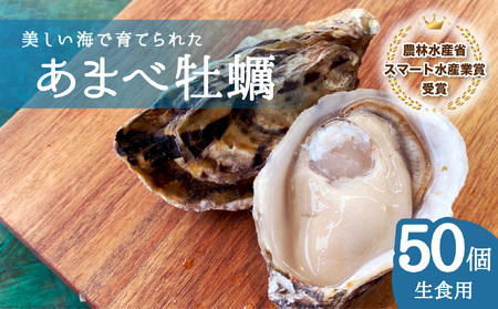 あまべ牡蠣 50個 牡蠣 シングルシード 生食用 殻付き かき カキ オイスター 生ガキ 生牡蠣 生がき 生かき ギフト 貝 旨味