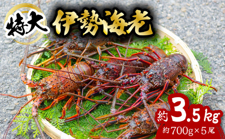 ɐCV  3.5kg 700g×5 ɐ ɐGr  CZGr CV  Gr CN CY C̍K   Y CN Mtg yzwz