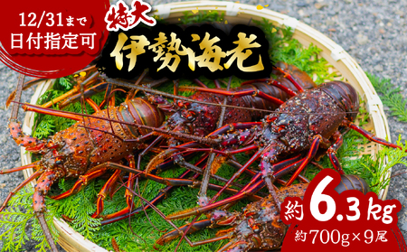 ɐCV  6.3kg 700g×9 ɐ ɐGr  CZGr CV  Gr CN CY C̍K   Y CN Mtg yzwz