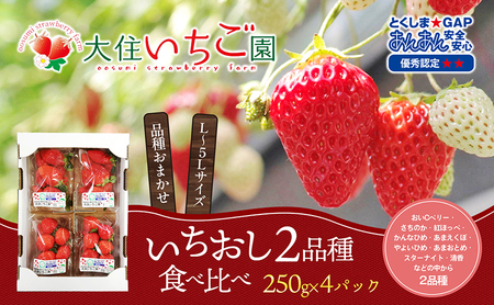 個性派いちご2品種食べ比べセット 250g×4パック 『とくしま安2(安全・安心)GAP農産物』優秀認定取得