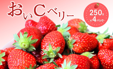 おすすめ品種「おいCベリー」4パック 250g×4パック 『とくしま安2(安全・安心)農産物』優秀認定取得
