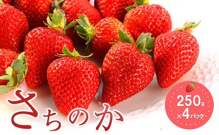 おすすめ品種「さちのか」4パック 250g×4パック 『とくしま安2(安全・安心)農産物』優秀認定取得