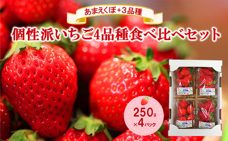 「あまえくぼ」+3品種 個性派いちご4品種食べ比べセット 250g×4パック 『とくしま安2(安全・安心)農産物』優秀認定取得
