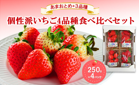 「あまおとめ」+3品種 個性派いちご4品種食べ比べセット 250g×4パック 『とくしま安2(安全・安心)農産物』優秀認定取得
