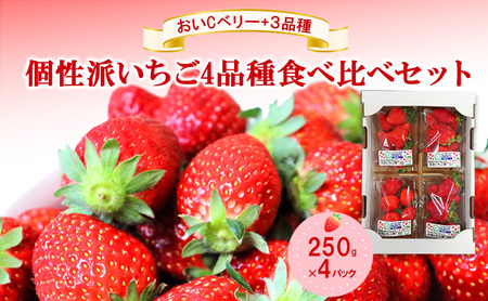 「おいCベリー」+3品種 個性派いちご4品種食べ比べセット 250g×4パック 『とくしま安2(安全・安心)農産物』優秀認定取得