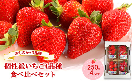 「さちのか」+3品種 個性派いちご4品種食べ比べセット 250g×4パック 『とくしま安2(安全・安心)農産物』優秀認定取得