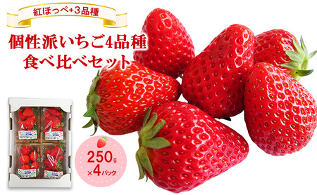 「紅ほっぺ」+3品種 個性派いちご4品種食べ比べセット 250g×4パック 『とくしま安2(安全・安心)農産物』優秀認定取得