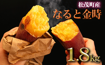 さつまいも(なると金時)松茂町産1.8kg　徳島 鳴門金時 芋 秋 旬 サツマイモ 正月 おせち 贈答用