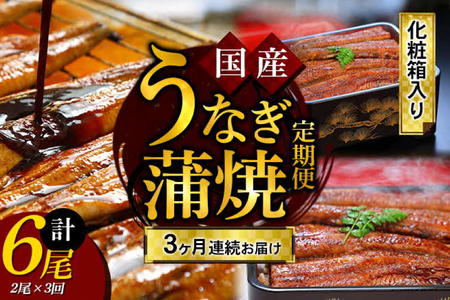 [3回定期便] うなぎ 蒲焼 2尾 [モリカン 徳島県 北島町 29bh0004]