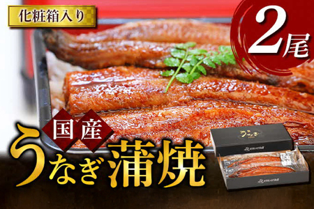 うなぎ 国産 うなぎ蒲焼き 2尾 [モリカン 徳島県 北島町 29bh0001]