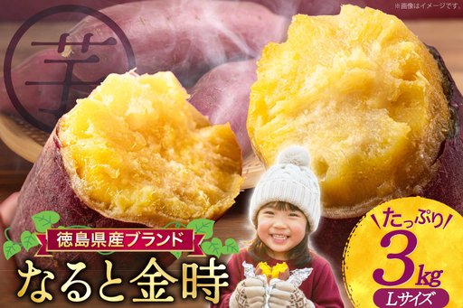 さつまいも なると金時 甘藷 3kg [増田 和記 徳島県 北島町 29bb0004]