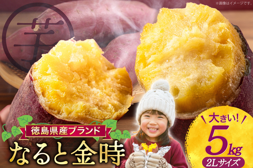 さつまいも 訳あり なると金時 甘藷 2Lサイズ 5kg [増田 和記 徳島県 北島町 29bb0007]