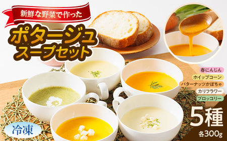 【冷凍小5種:各300g】濱くんちのお野菜をふんだんに使った野菜ポタージュスープセット　簡単便利品!【配送不可地域：離島】【1475089】