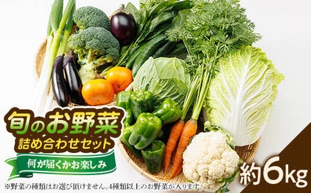 [旬のお野菜詰め合わせセット6kg]濱くんちのお野菜から旬のお野菜が届くお楽しみBOX[配送不可地域:離島]