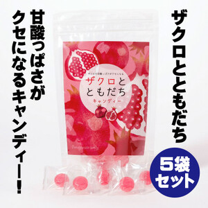 UNƂƂ/5܃Zbgy1505389z