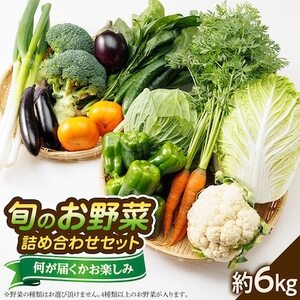 yŒցzqtEHE~r{̂؋lߍ킹Zbg6kgS3yzsnFzy4059808z