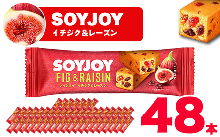 SOYJOY ソイジョイ イチジク&レーズン 48本_菓子・スイーツ 洋菓子 惣菜・加工品 _