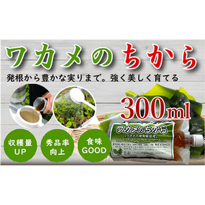 ワカメのちから 300ccボトル_雑貨・日用品 アウトドア用品 スポーツ・アウトドア用品 _