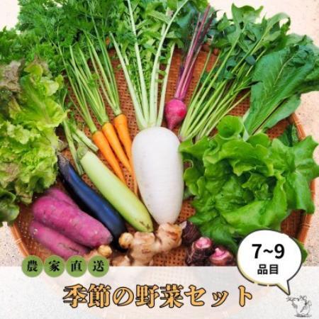 [農家直送]なるべく自然に近い環境で栽培した「季節のおまかせ野菜セット』(7〜9品)[配送不可地域:離島]