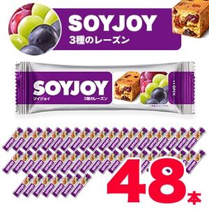 SOYJOY ソイジョイ 3種のレーズン 48本_菓子・スイーツ 洋菓子 惣菜・加工品 _