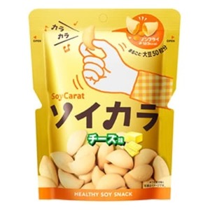 ソイカラ チーズ味 18袋_惣菜・加工品 _