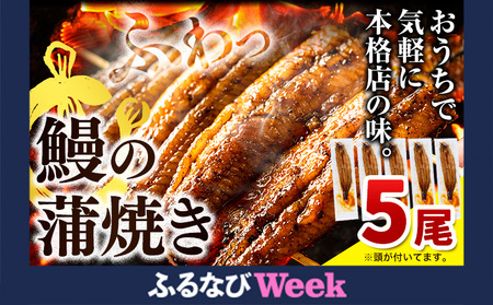 yӂȂWEEKΏہzȂ̊Ă 5 s30ȓɏoח\(yj)t FN-Limited-PR