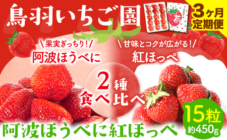 [ 先行予約 ] いちご 2種 食べ比べ 3ヶ月定期便 お試し 15粒 約450g 鳥羽いちご園 阿波ほうべに 紅ほっぺ [1月上旬-3月下旬頃出荷] イチゴ 苺 お試しサイズ 2種食べ比べ 徳島県 オリジナル品種 阿波ほうべに 紅ほっぺ 大粒 果物 フルーツ スイーツ 送料無料