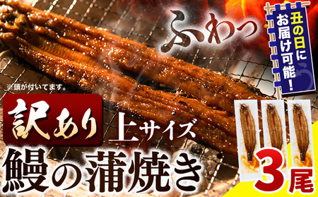 うなぎ 訳あり 鰻の蒲焼き 3尾 [7月上旬-7月中旬頃出荷]│ うなぎ 国産 うなぎ 訳あり サイズ不揃い 1尾100g以上 先行予約 土用の丑の日 簡易包装 送料無料 徳島県 上板町