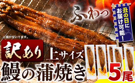 うなぎ 訳あり 鰻の蒲焼 5尾 [7月上旬-7月中旬頃出荷]│ うなぎ 国産 うなぎ 訳あり サイズ不揃い 1尾100g以上 先行予約 土用の丑の日 簡易包装 送料無料 徳島県 上板町