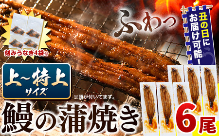 [ 土用の丑の日予約受付中! ]うなぎ 国産 鰻の蒲焼 6尾 + きざみうなぎ 30g×4袋 上〜特上サイズ[7月上旬-7月中旬頃出荷]