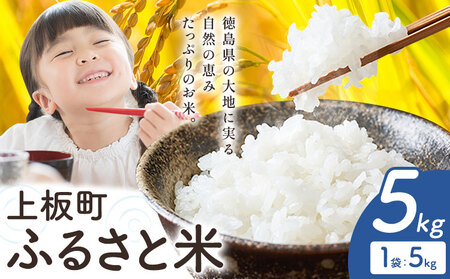 もちもち美味しい! 上板町ふるさと米 精米 5kg [10月中旬-11月末頃出荷]徳島県 上板町 お米 米 白米