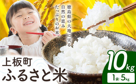 I ӂ邳ƕ  10kg s11{-12oׁt    