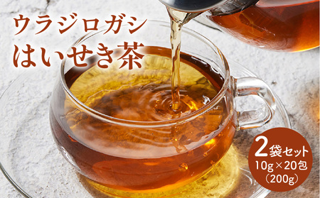 はいせき茶 ノンカフェイン ウラジロガシ 健康茶 パック茶 はいせき茶[T119-005]