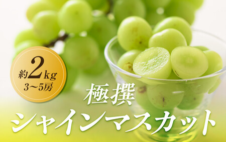 [2025年8月中旬より発送]特秀品!シャインマスカット 約2kg(3〜5房) 