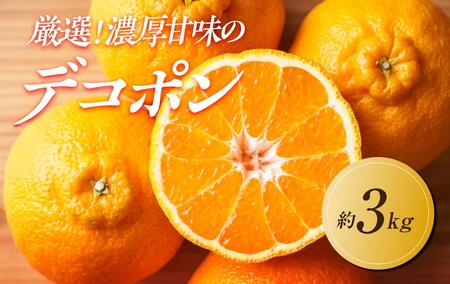 [2025年2月上旬より発送]厳選!濃厚甘味の「不知火(しらぬい)」約3kg