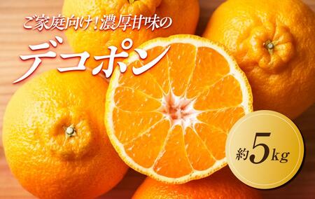 [2025年2月上旬より発送]ご家庭向け!濃厚甘味の「不知火(しらぬい)」約5kg