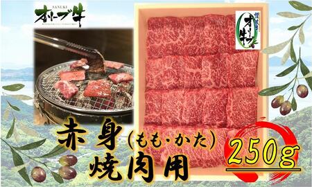 オリーブ牛 赤身焼肉用 250g | 国産 焼肉 オリーブ牛 牛肉 赤身 焼肉 人気 焼肉 赤身 牛 美味しい お肉 焼肉