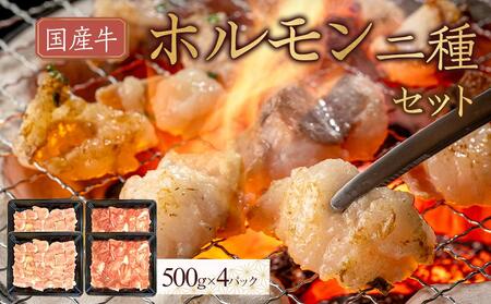 Y@zZbg2000g | Y  z Zbg z lC Y z Y  z Zbg