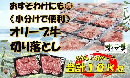 [おすそわけにも・小分け・大容量]オリーブ牛切り落とし10kg | 国産 オリーブ牛 牛肉 切り落とし 小分け 10キロ 牛肉 肉 人気 美味しい 牛肉 肉 オリーブ 小分け 切り落とし 牛肉 肉